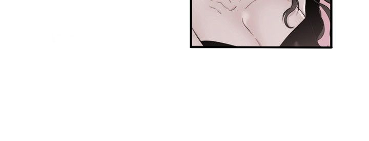第20章：律师的喜好24
