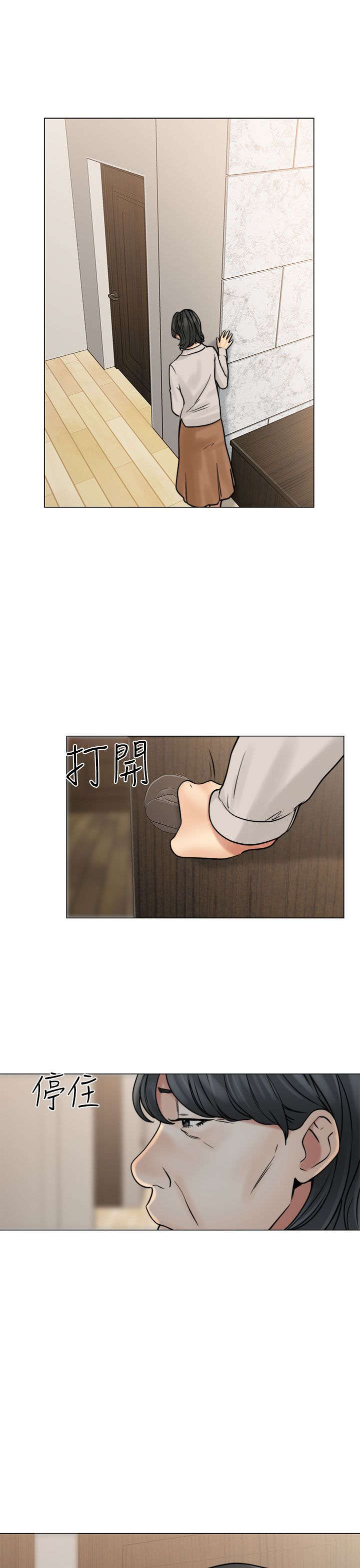 第27章：疯了29