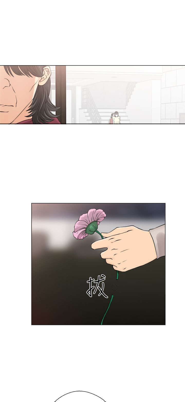 第29章：镇定18