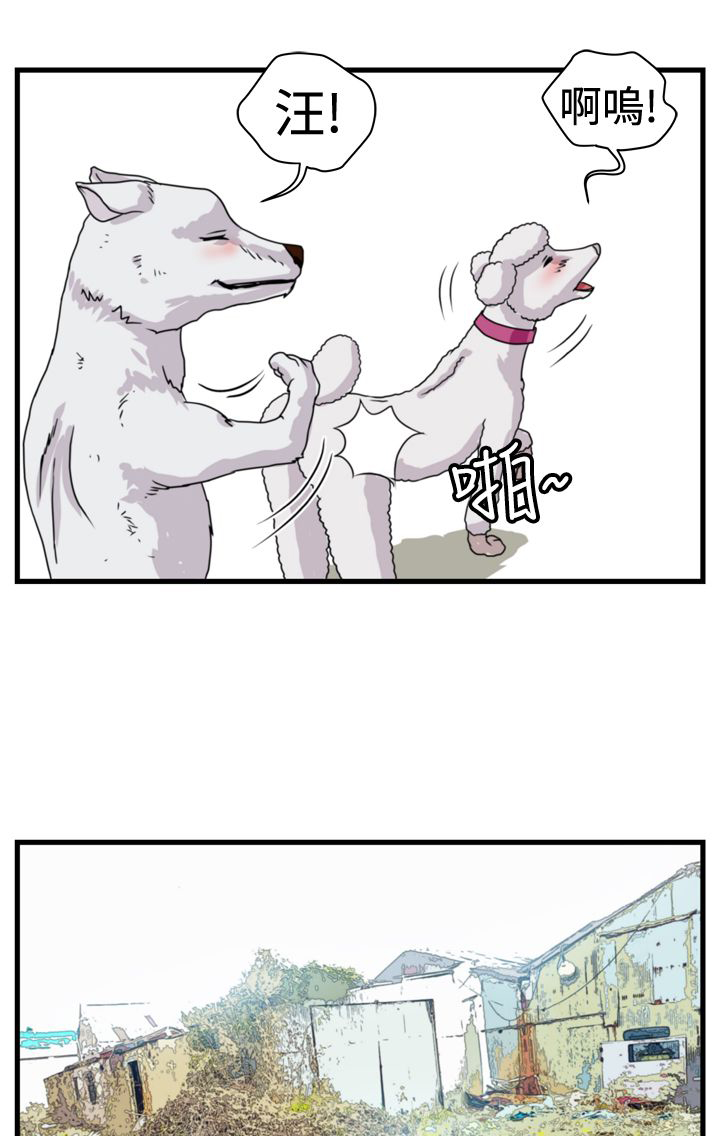 第5章：职业赌徒13