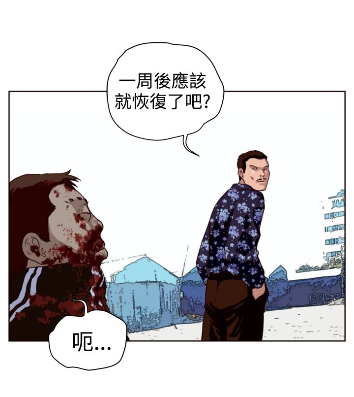 第8章：挑衅11