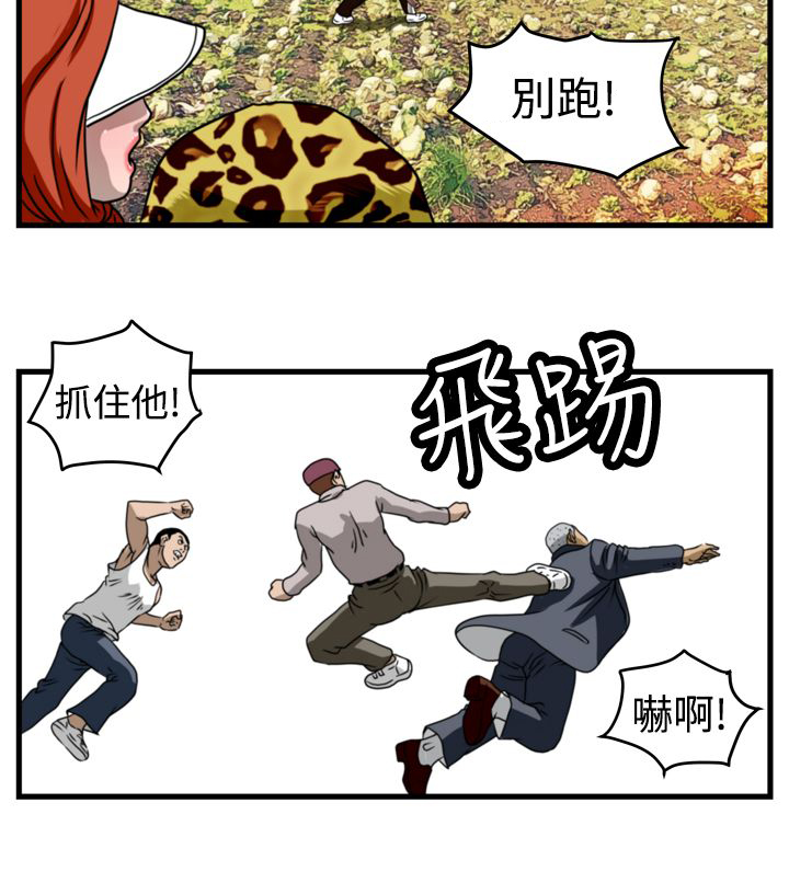 第7章：飞天神猪8