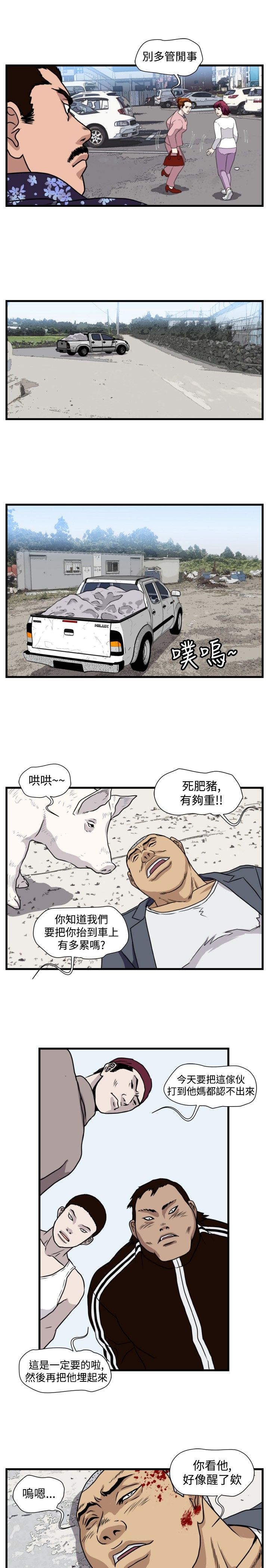 第16章：抓猪开始12