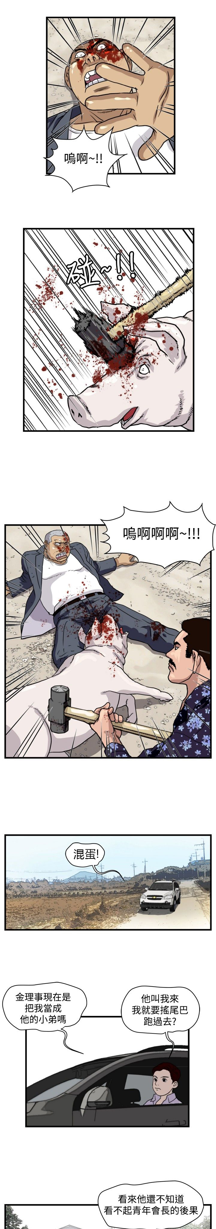 第17章：杀猪行动1