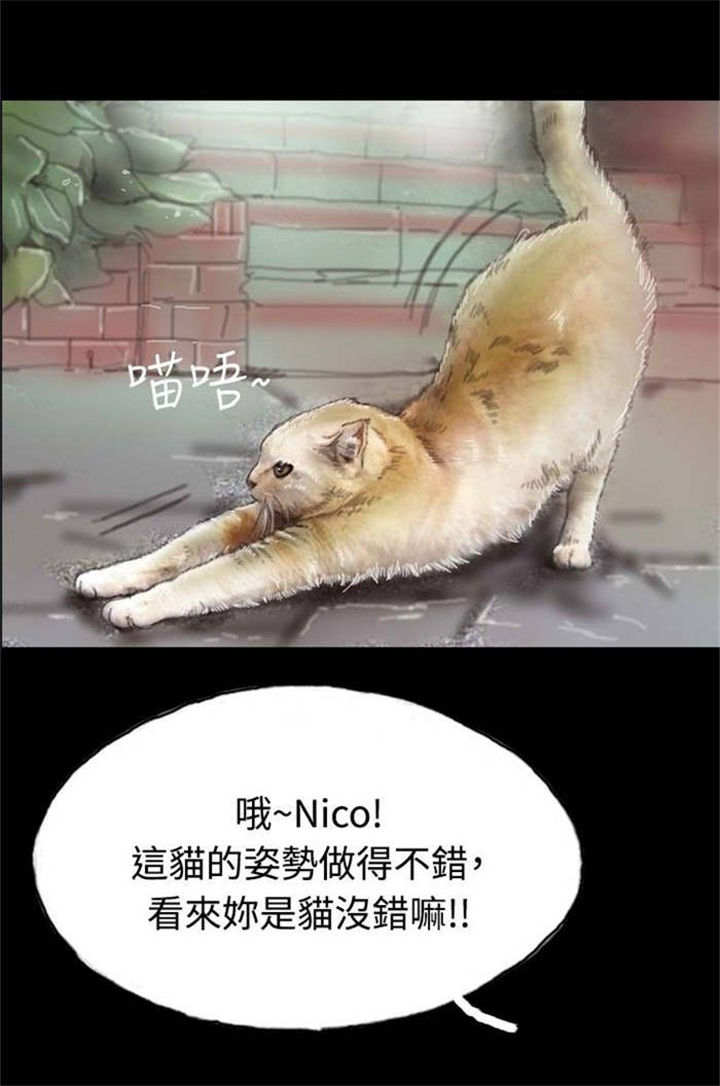 第5章：收养小猫30