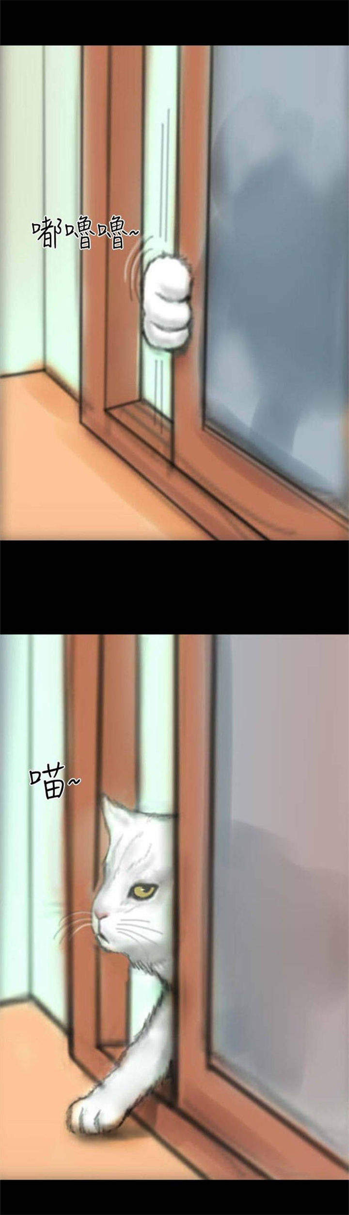 第14章：花牌5