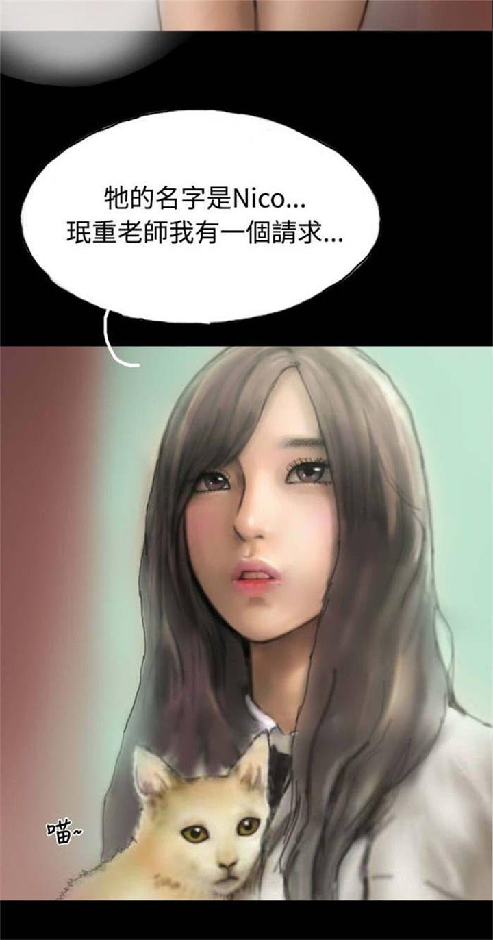 第5章：收养小猫10