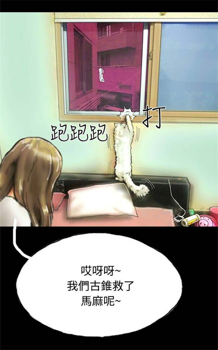 第18章：另一重身份11