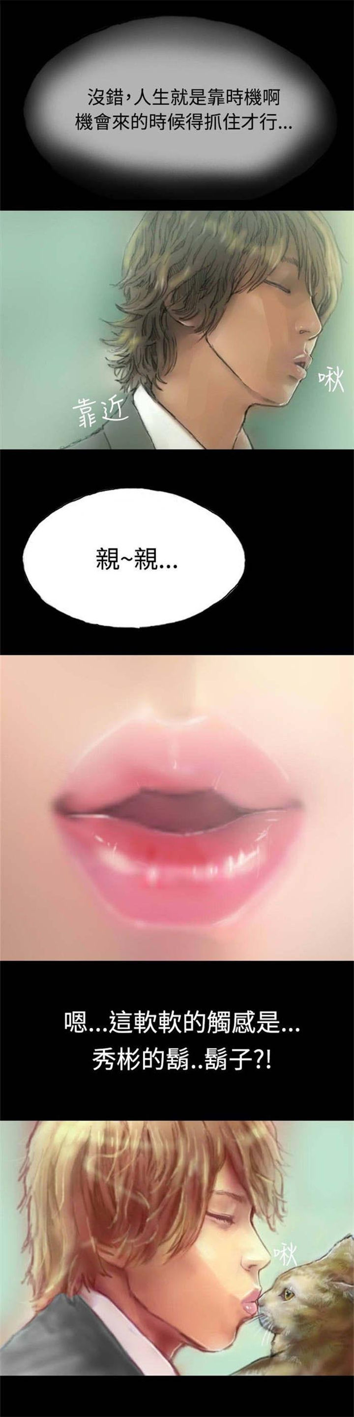 第5章：收养小猫14