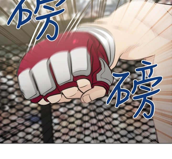 第43章：致命弱点16