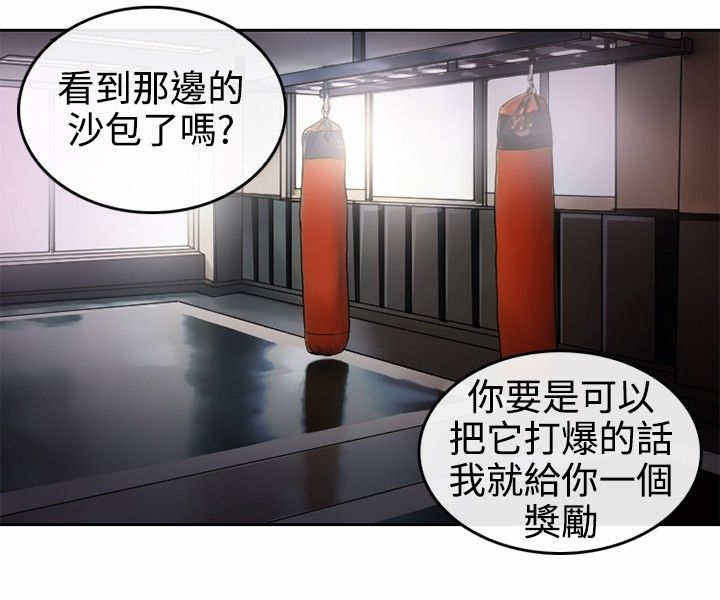 第2章：初涉拳馆11