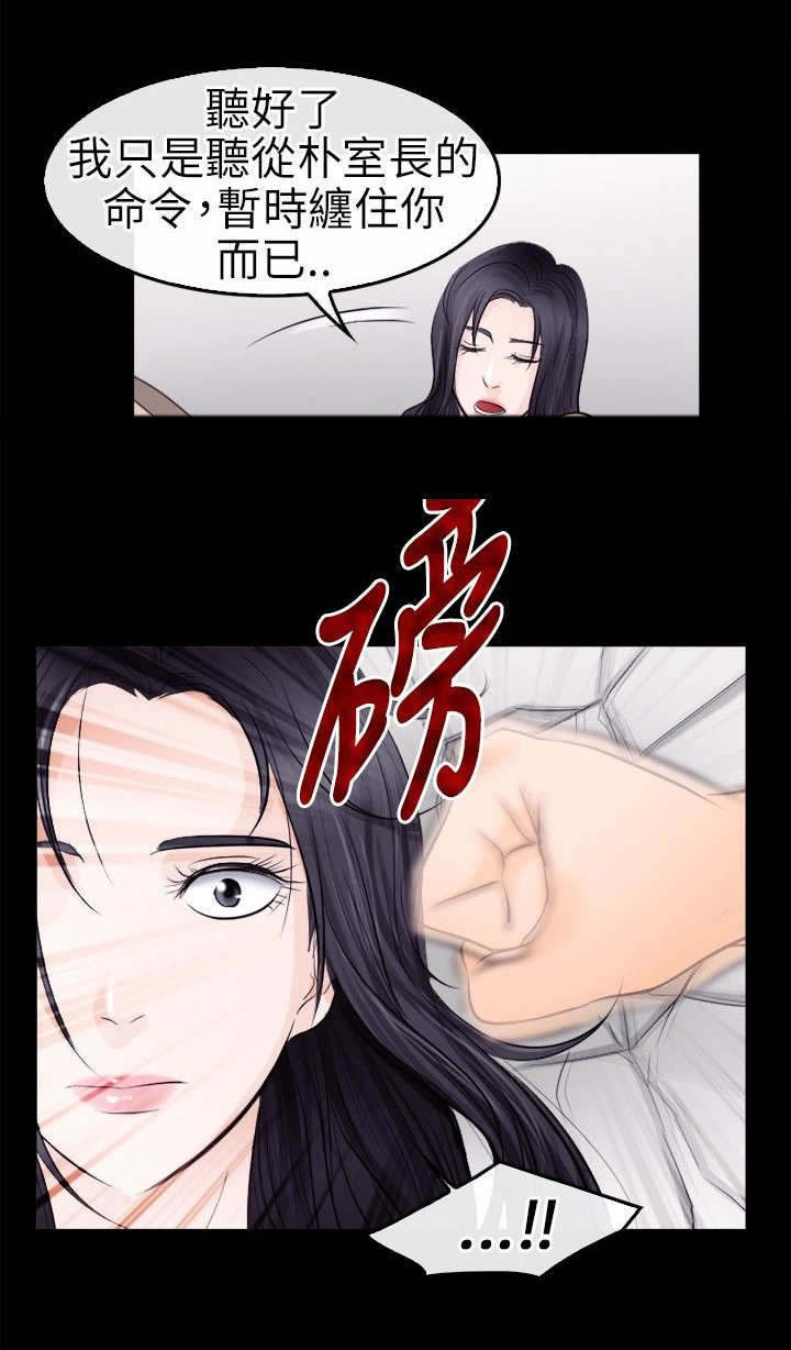 第15章：铁拳13