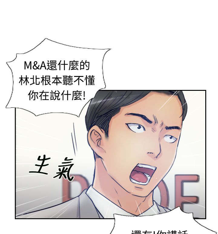 第28章：会议11