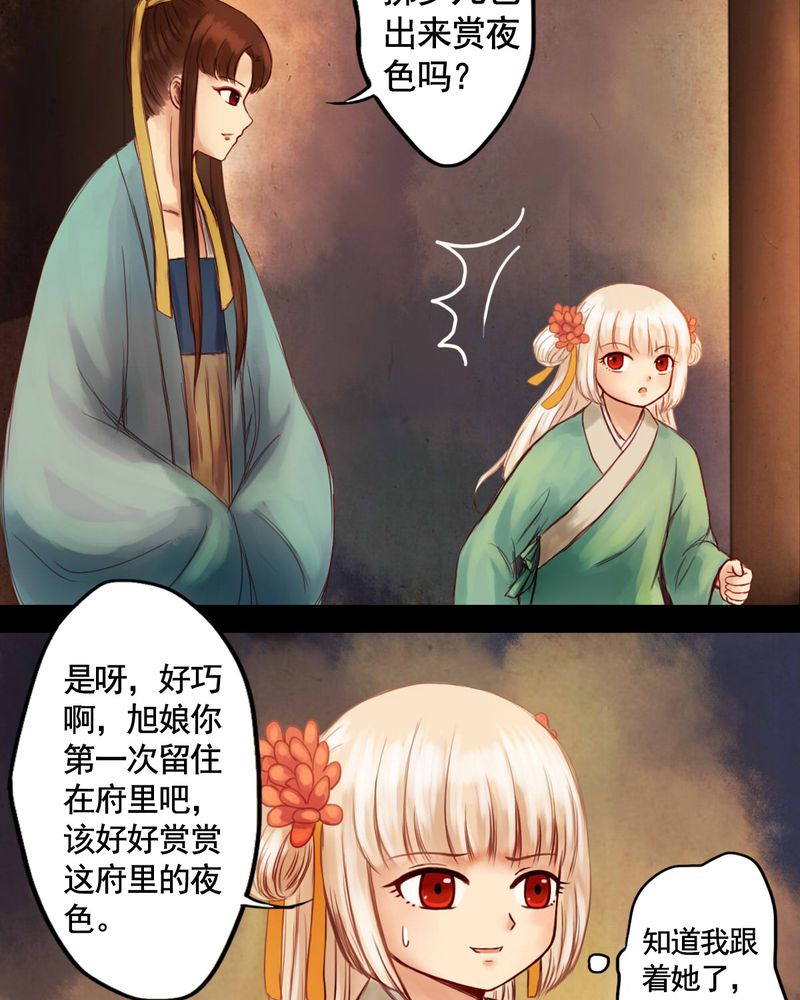 第21章：20