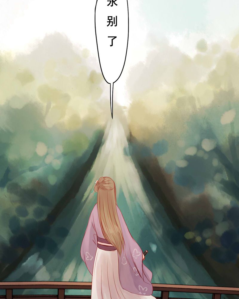 第65章：14