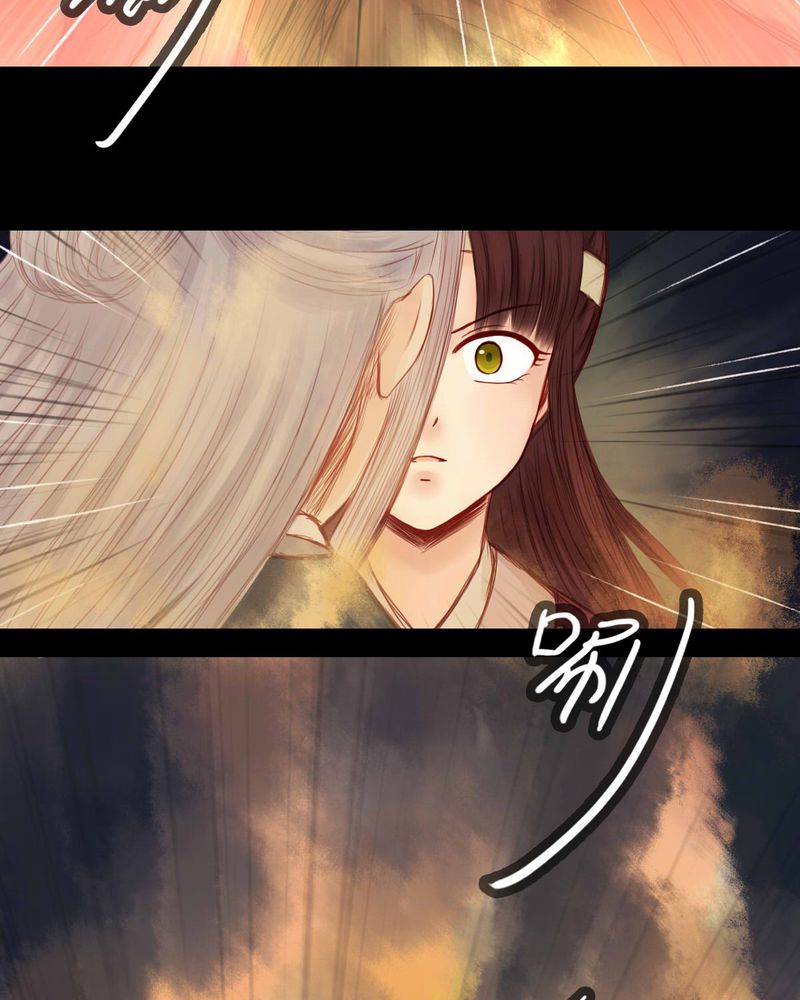 第55章：6
