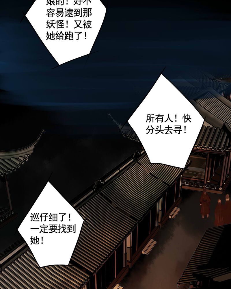 第54章：6