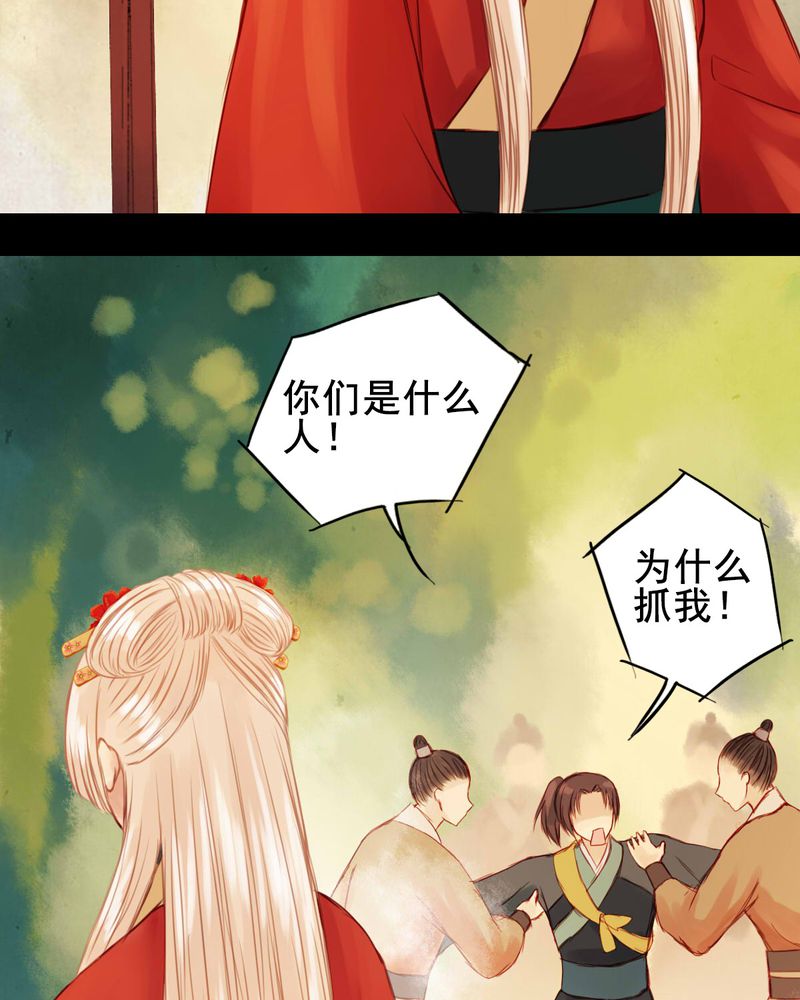 第28章：31