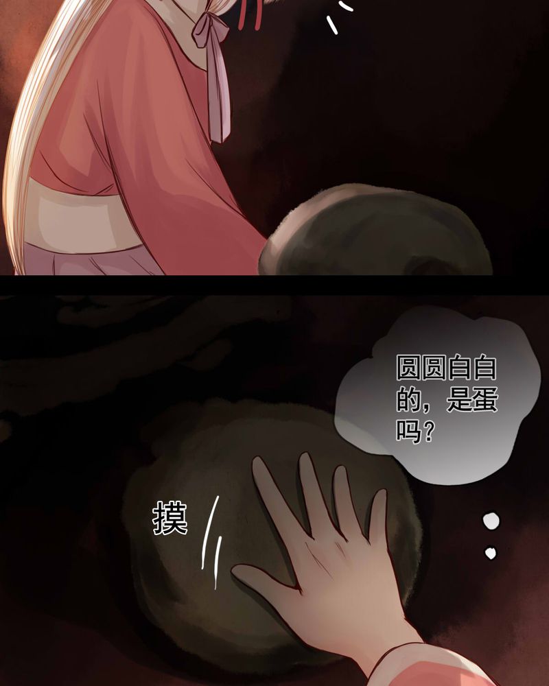 第48章：13