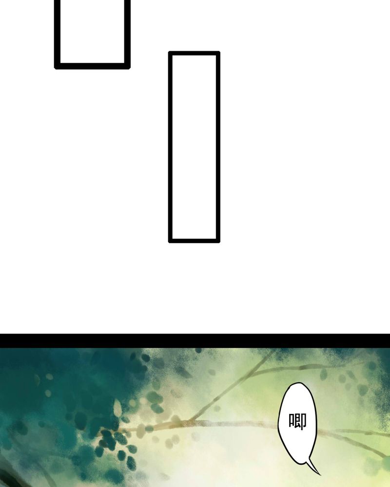 第51章：5