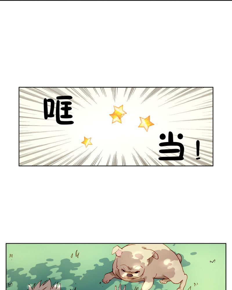 第5章：礼尚往来11