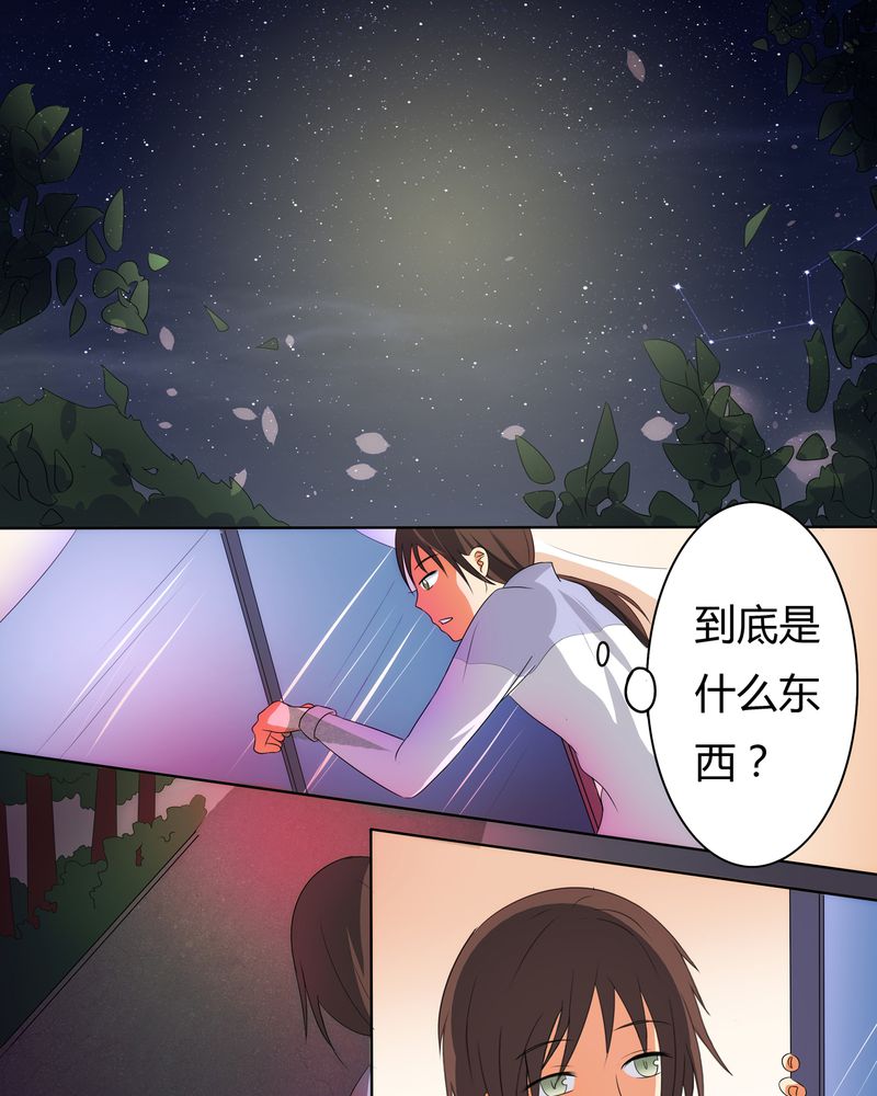 第1章：缘起之日28