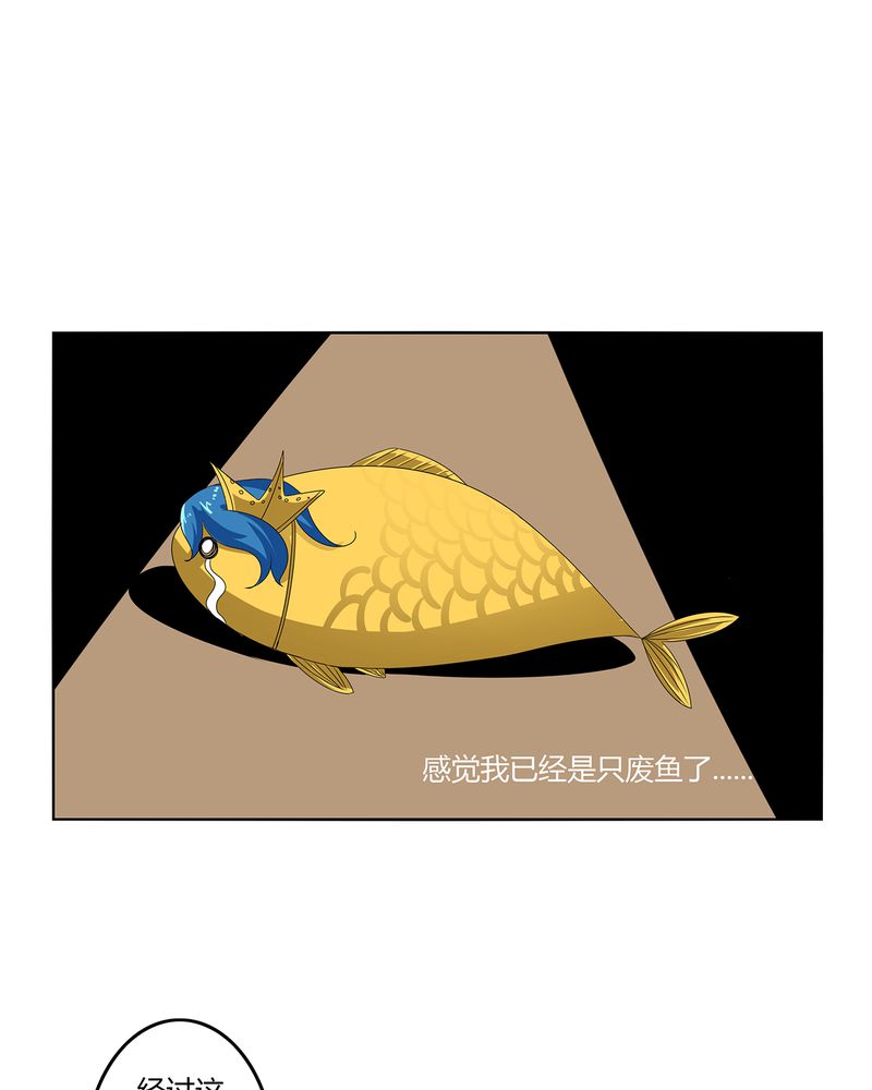 第43章：初步协议17