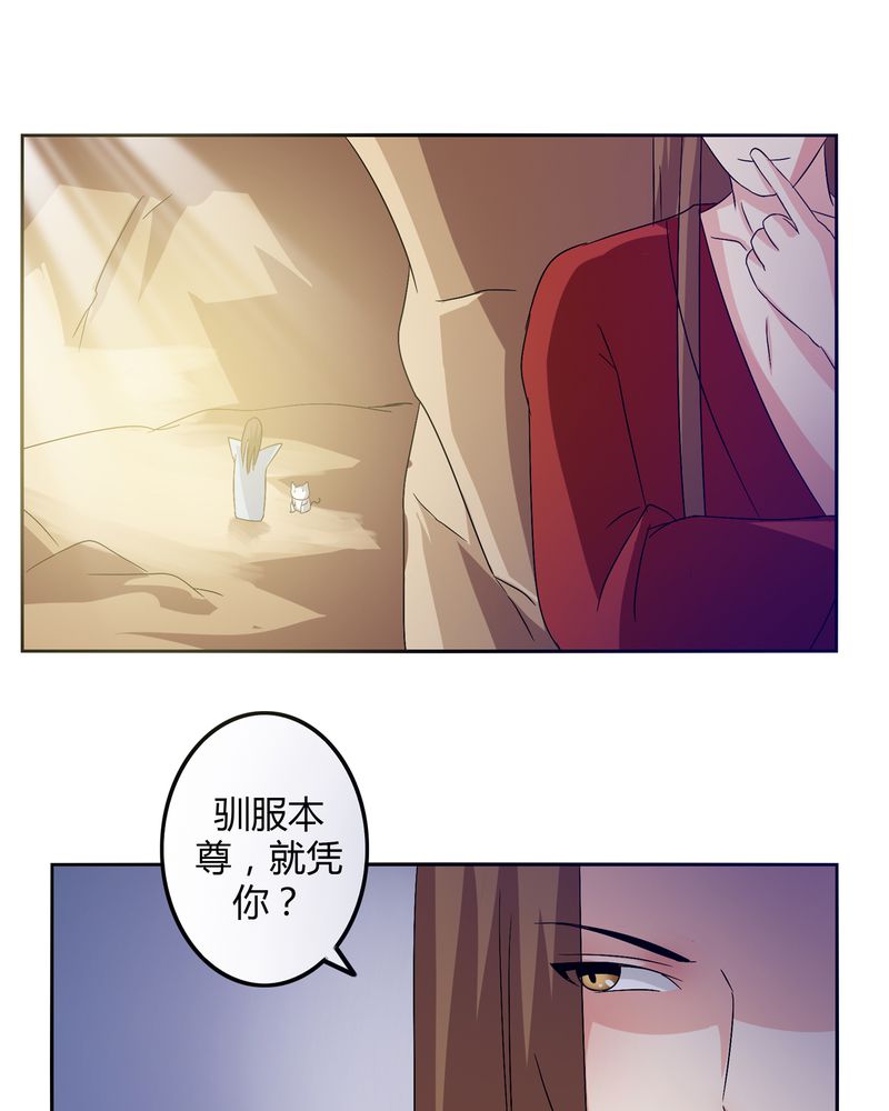 第45章：驯服四九28