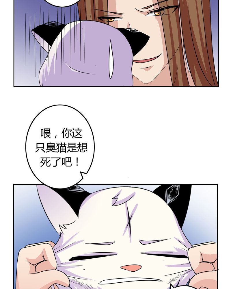 第17章：投票开始5