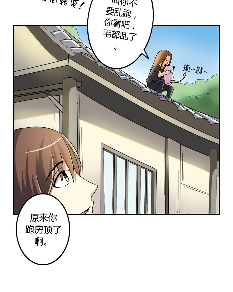 第55章：消失的灵力13