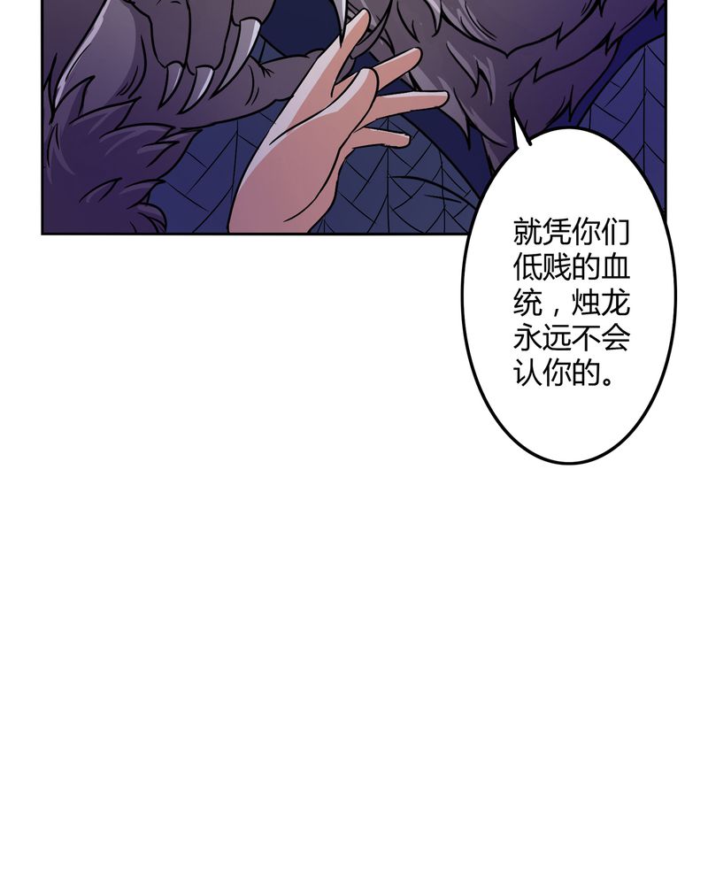 第45章：驯服四九13