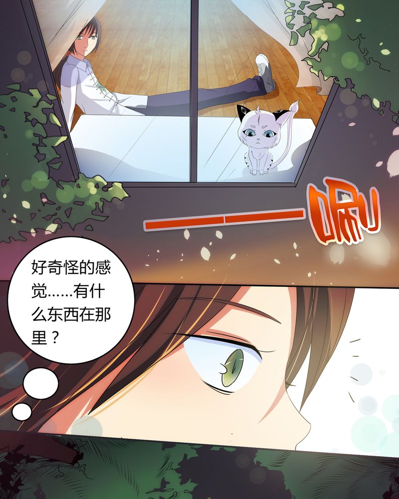 第1章：缘起之日16