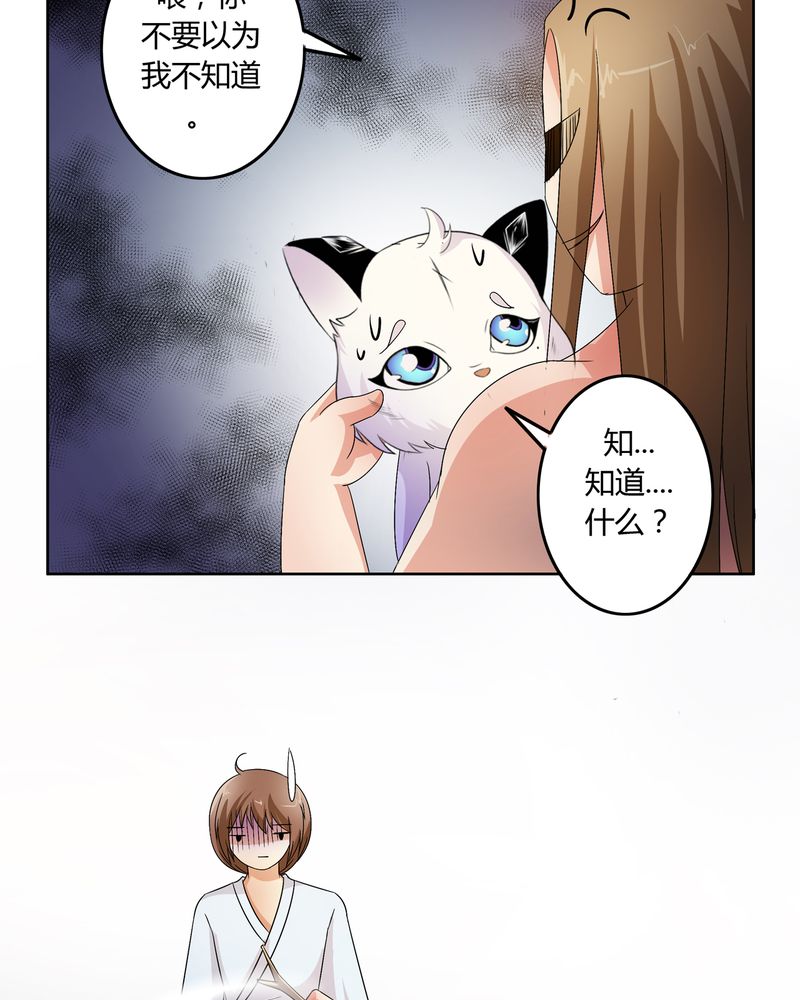 第49章：宠妻狂魔12