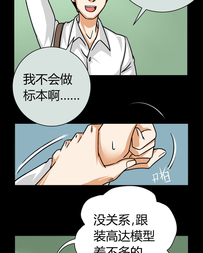 第14章：模型（下）8
