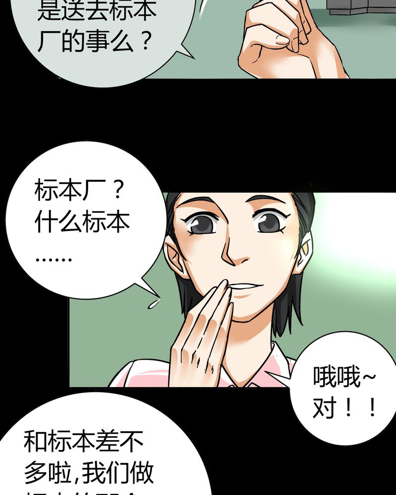 第14章：模型（下）6