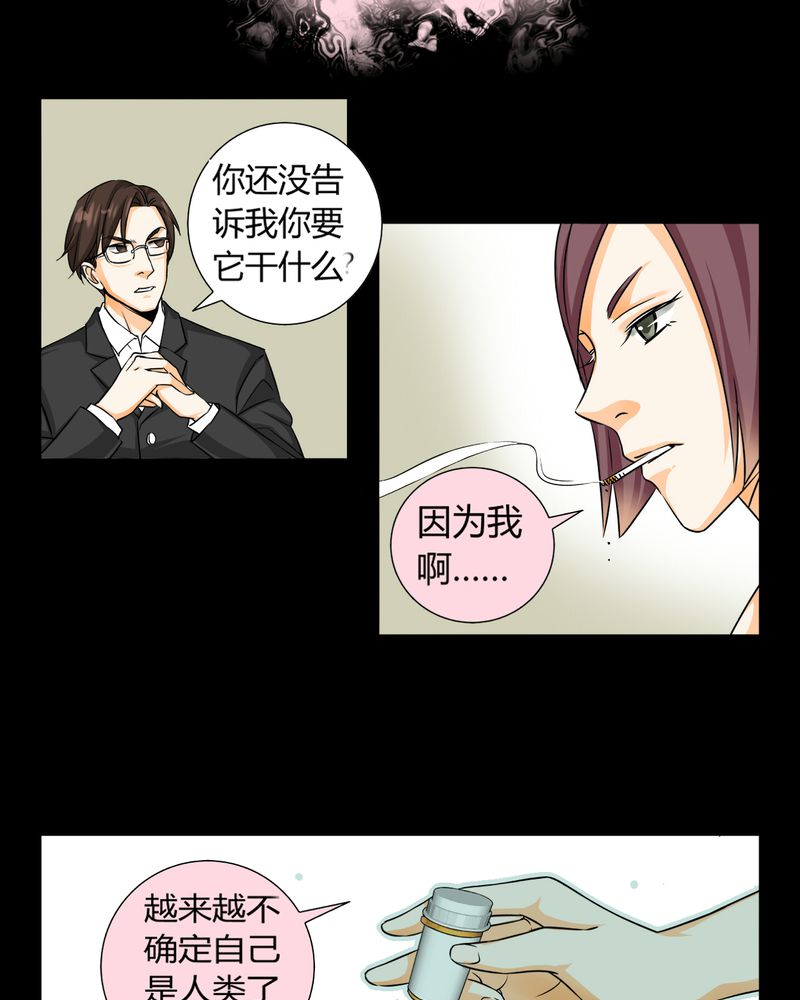 第11章：诺曼（中）25