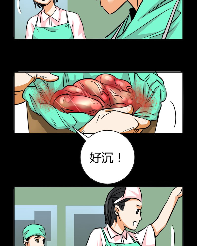 第13章：模型（上）31