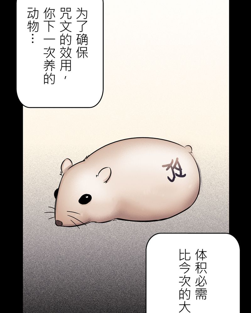 第17章：化煞咒#229