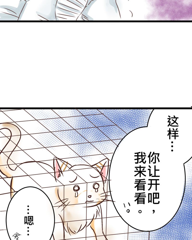 第18章：名为【感情】的花蕾14