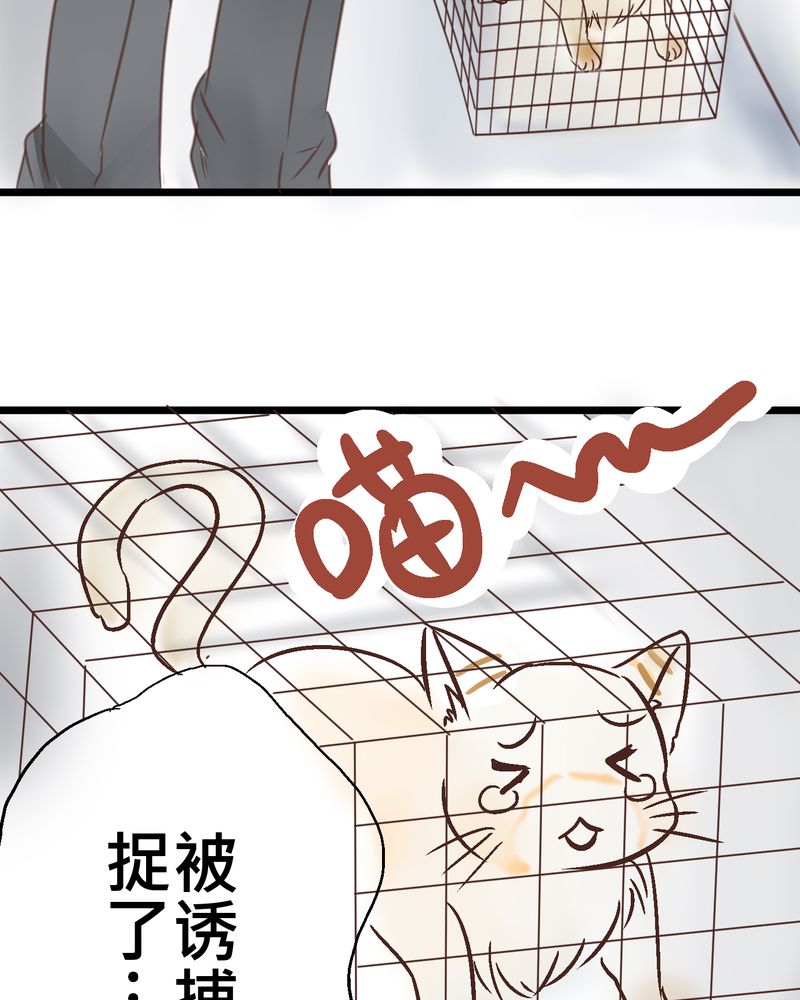 第18章：名为【感情】的花蕾12