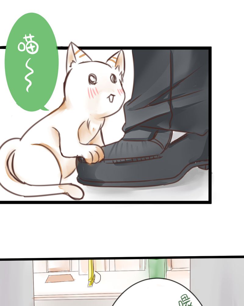 第20章：二人急速发展！？0