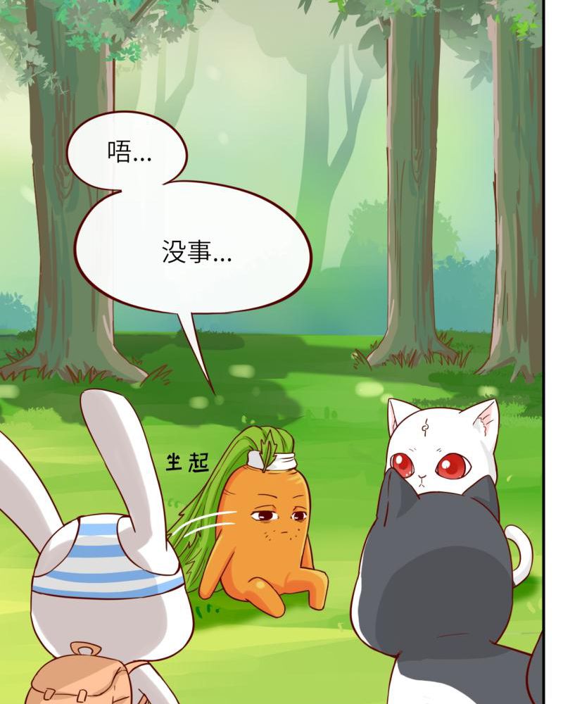 第39章：24