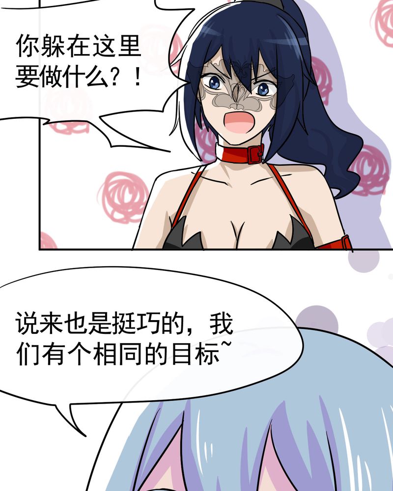 第33章：11