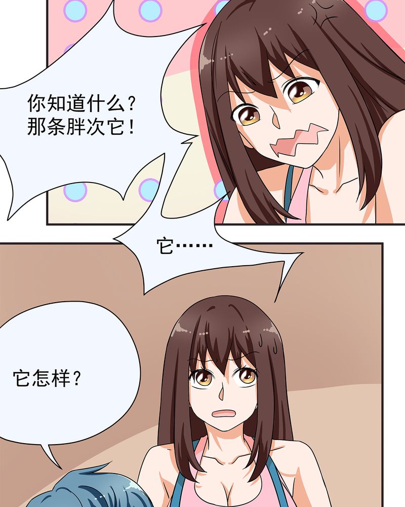 第11章：20