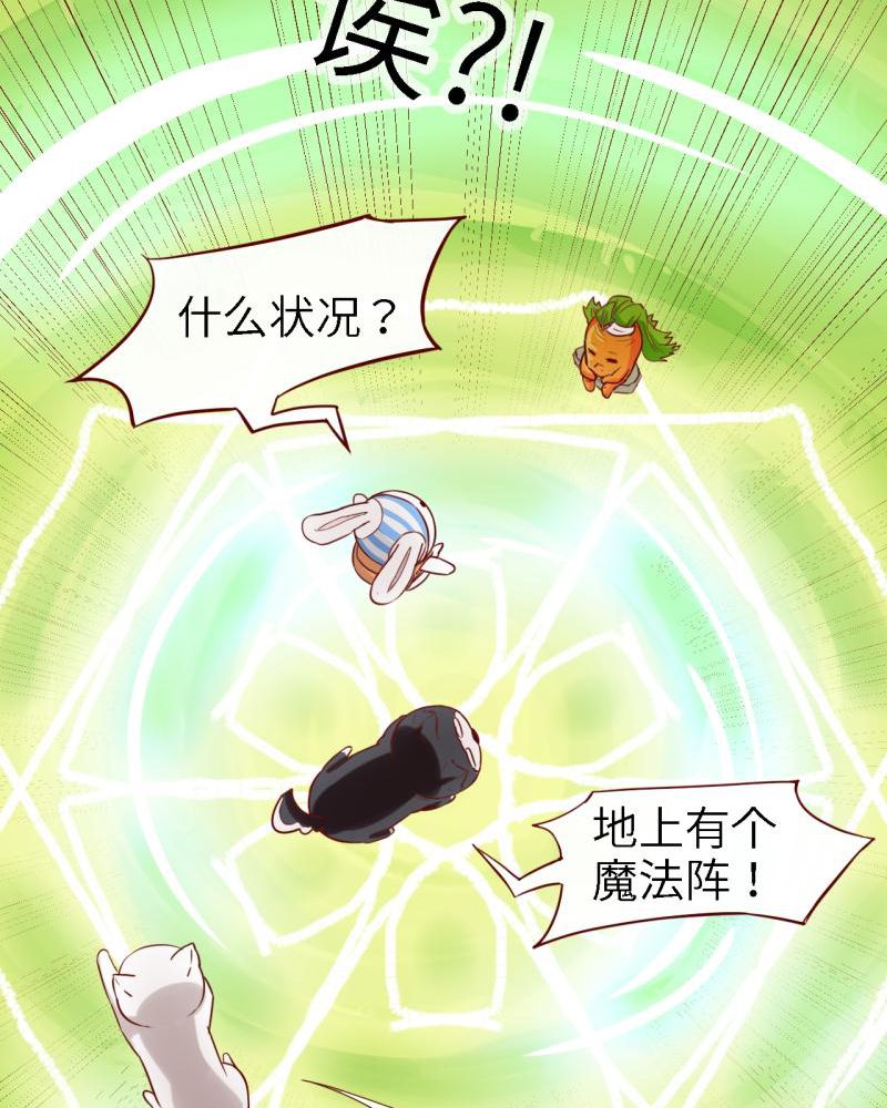 第39章：30