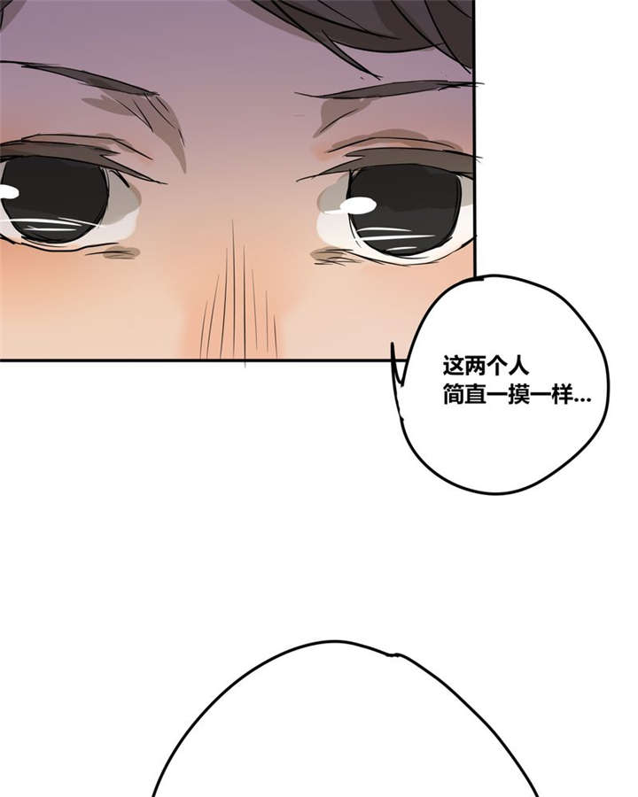 第22章：这一次6