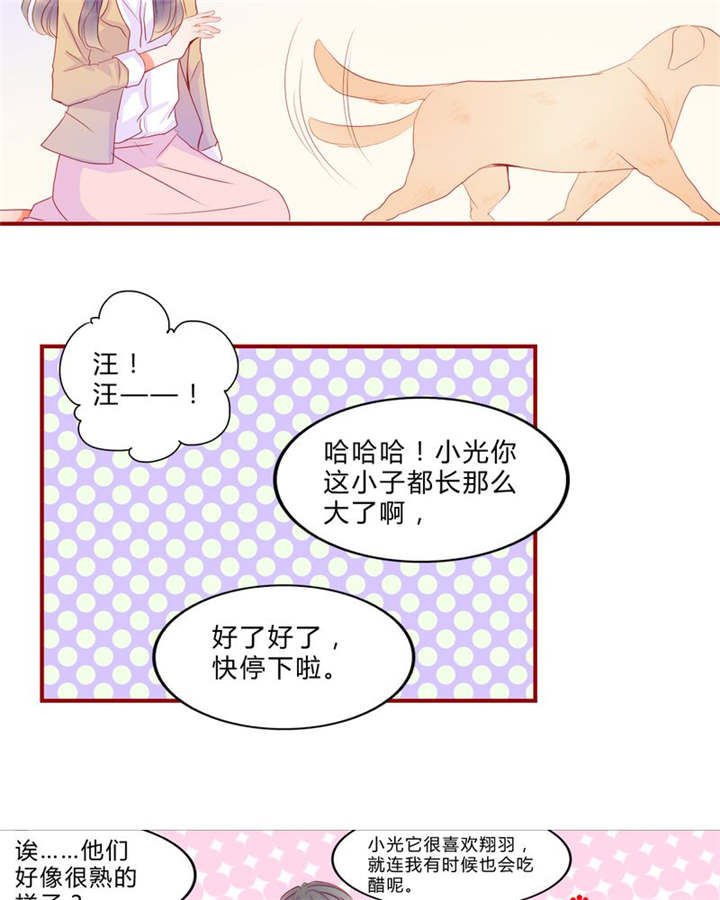 第13章：乘胜追击2