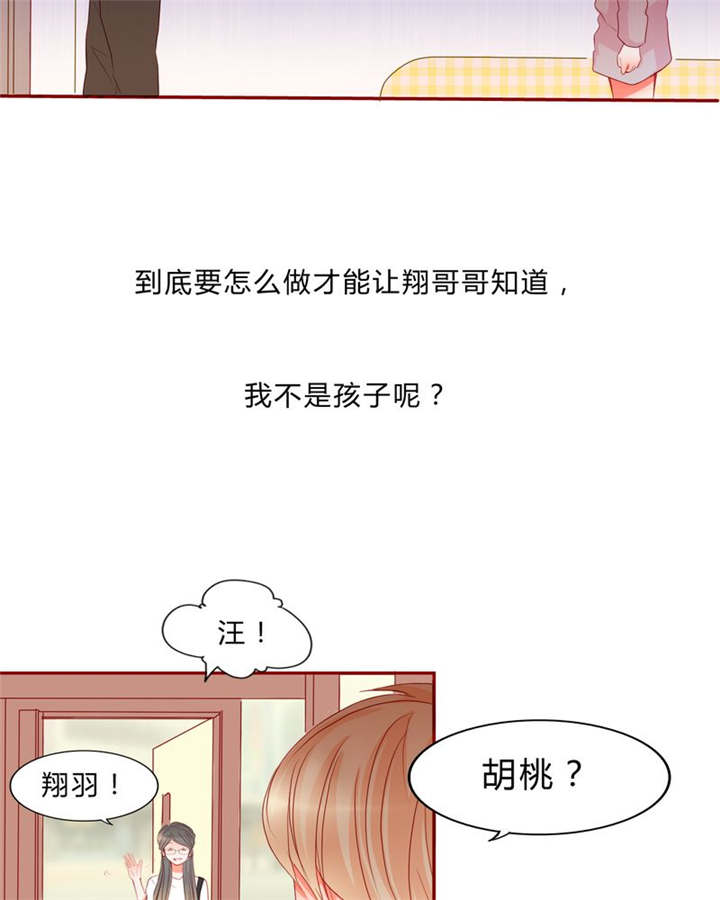 第13章：乘胜追击19