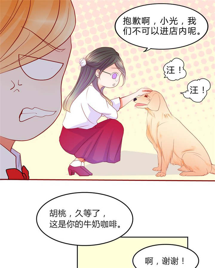 第13章：乘胜追击22