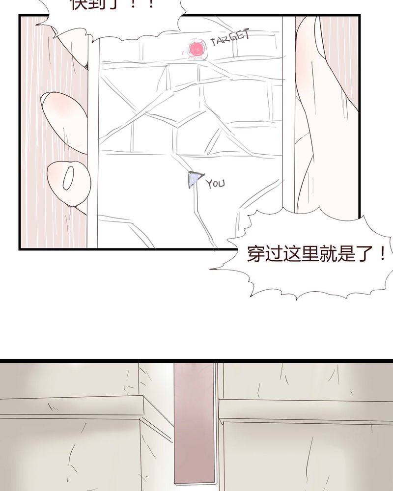 第26章：圈套17
